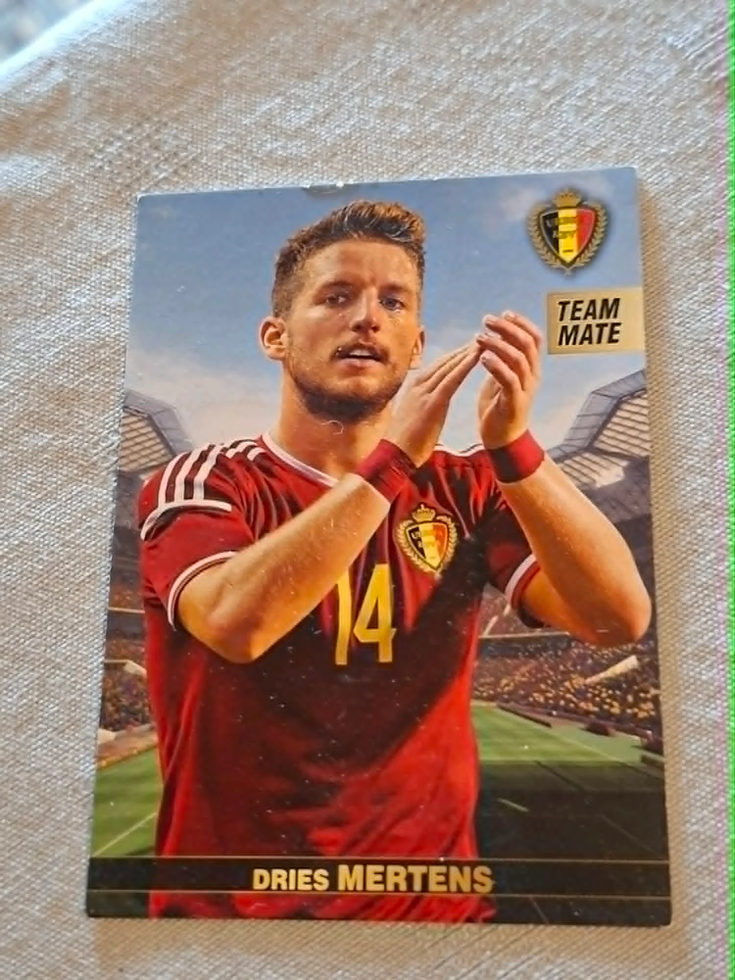 Panini / Voetbalkaart / Dries Mertens / Rode Duivels / EK 2016